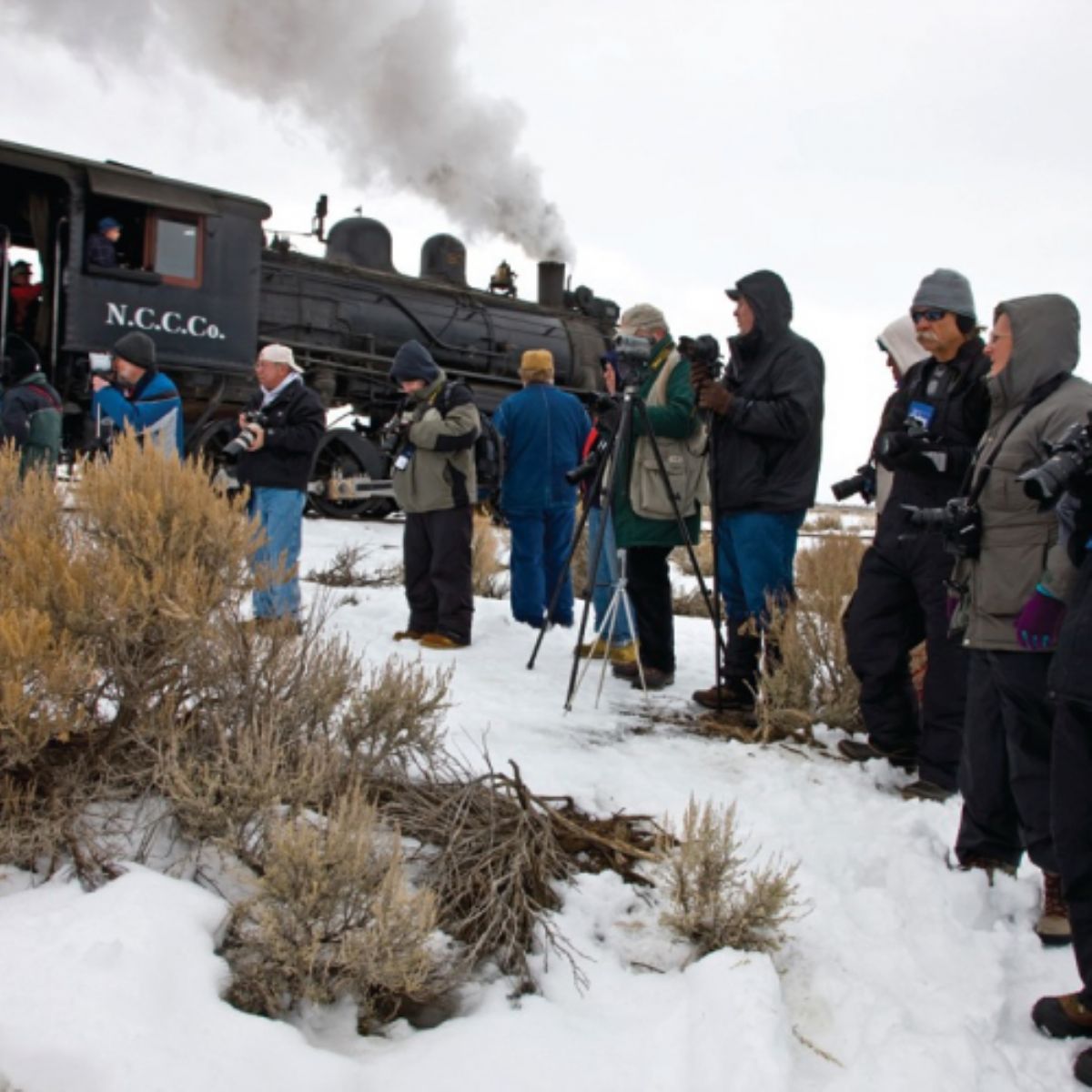 Winter Steam Spectacular