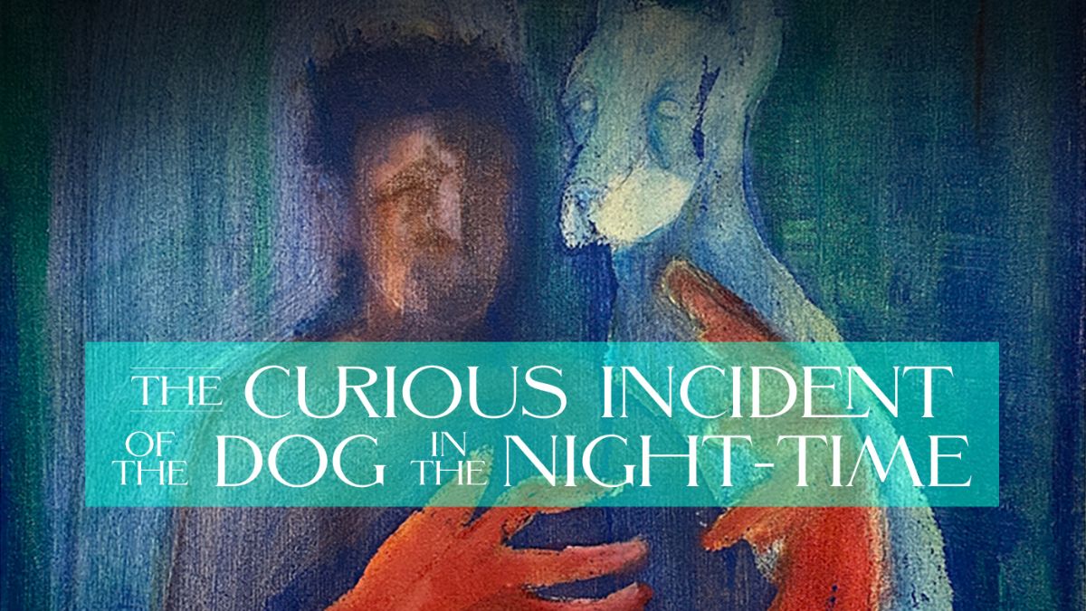 The Curious Incident of the Dog in the Night-Time
