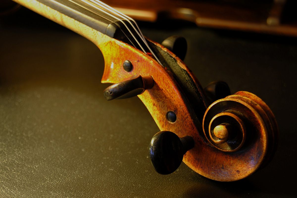 String Faculty & Friends