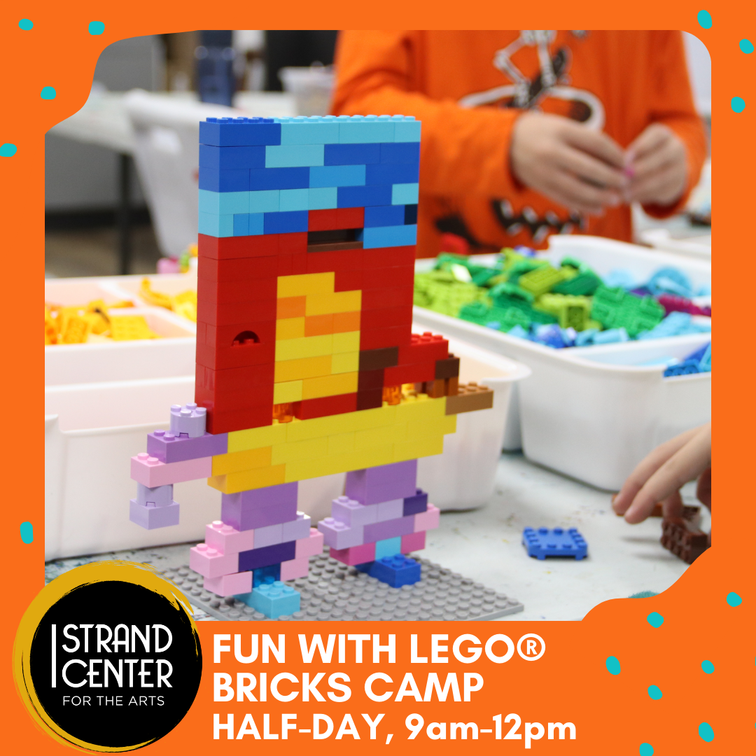 Fun with LEGO® Bricks Camp (Ages 6-14)