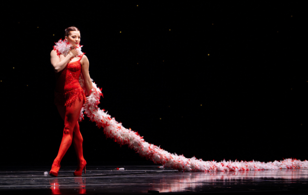 The Christmas Ballet - San Francisco