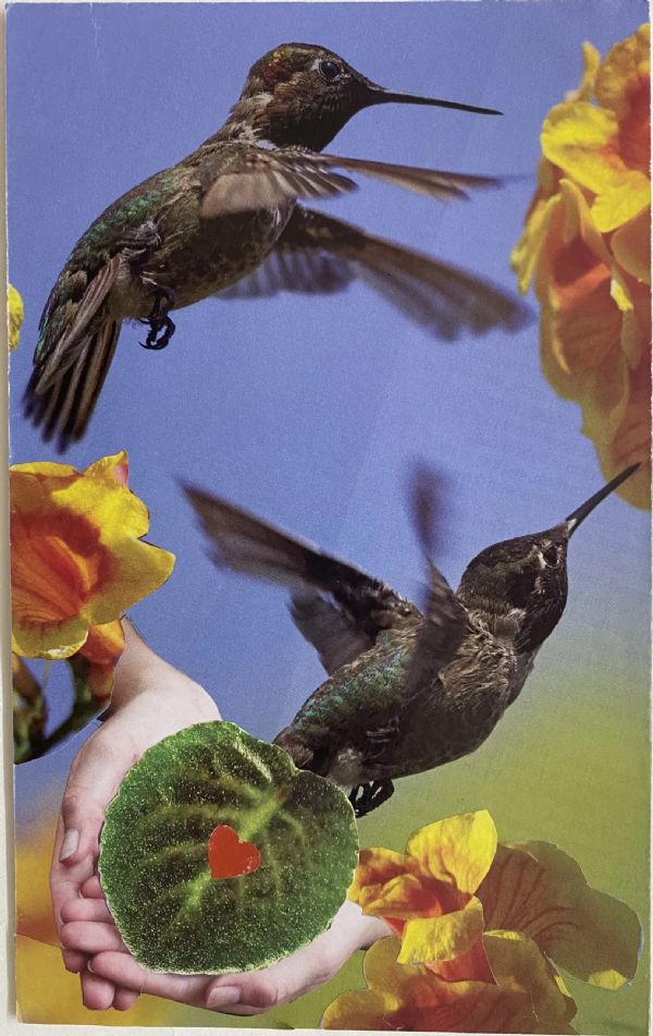 SoulCollage Exploration