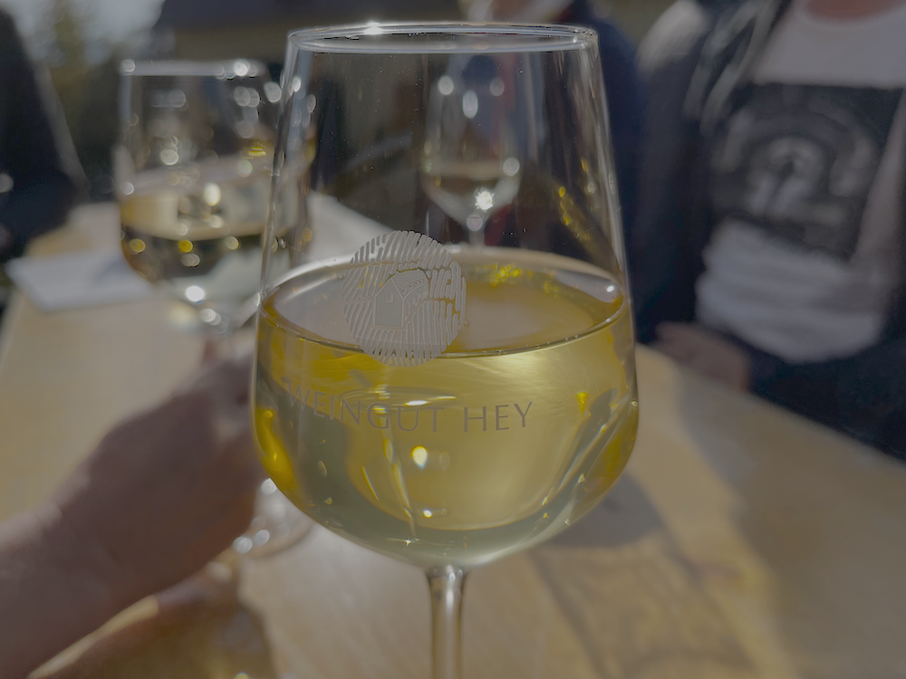 Weinwanderung Saale-Unstrut