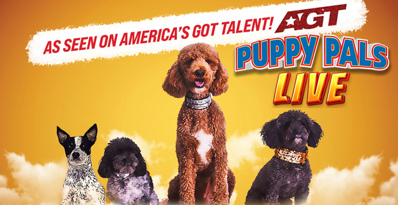 Puppy Pals LIVE