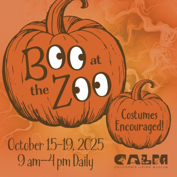 Boo at the Zoo
