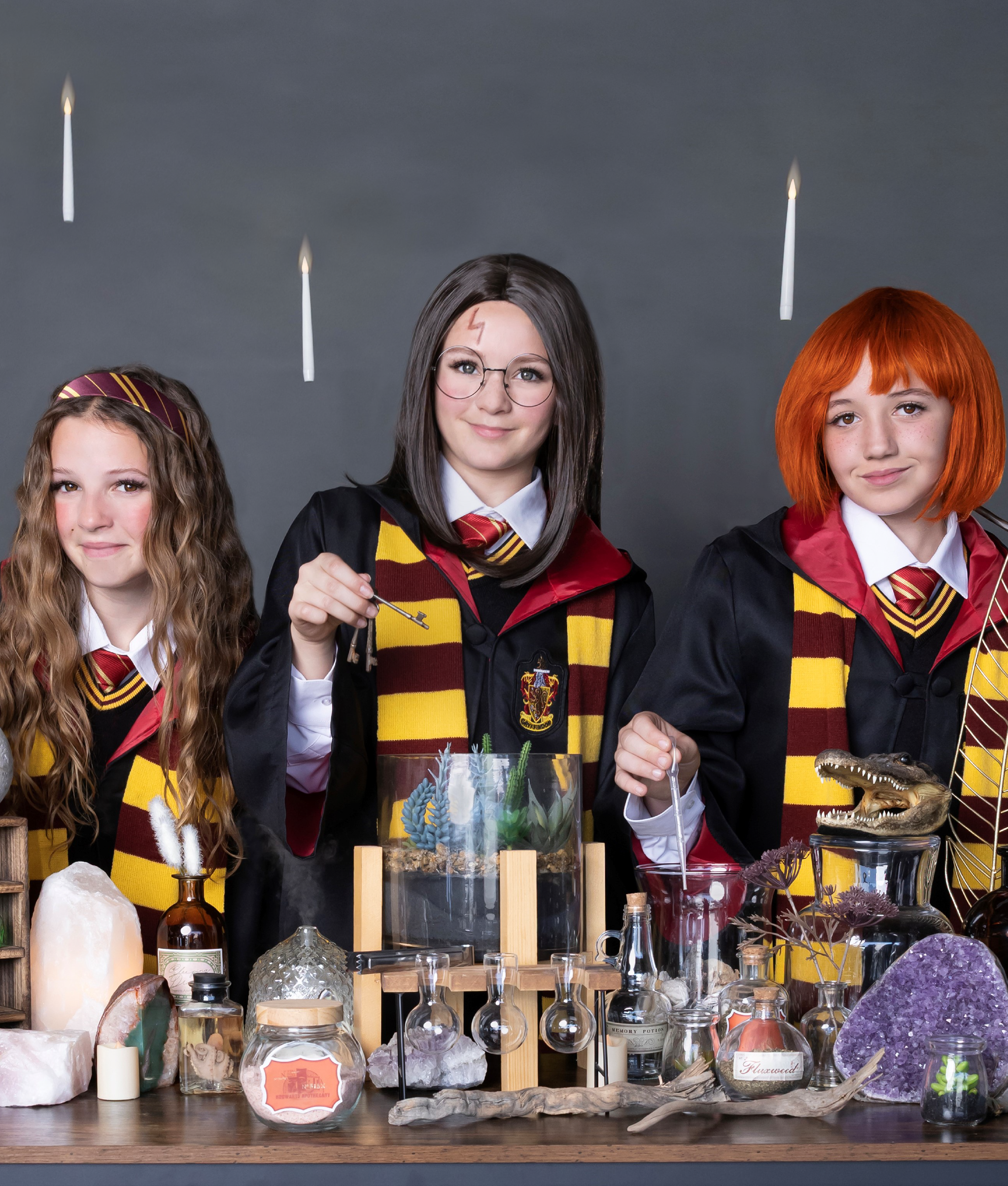 Harry's Wizarding World