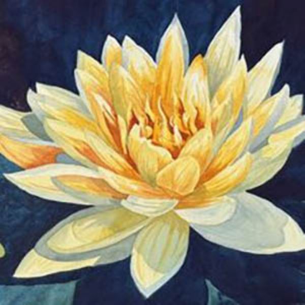 Watercolor Beginner/Intermediate 1, BACHOFNER, 08/12/25 - 09/09/25