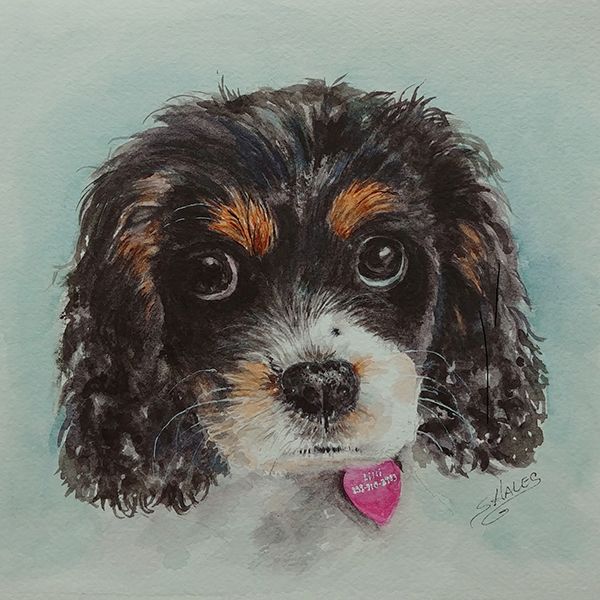 GO WILD - Animals and Pets, HALES, 12/13/25