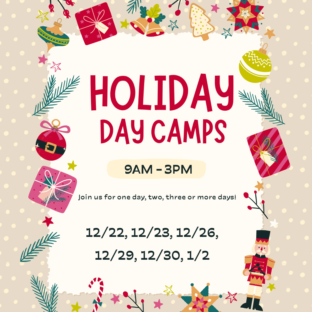 HOLIDAY BREAK DAILY CAMPS