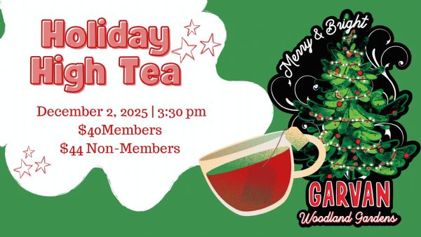 Holiday High Tea