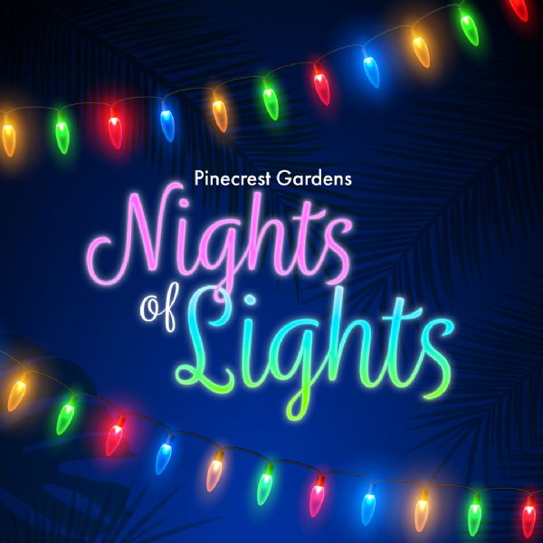 Night of Lights