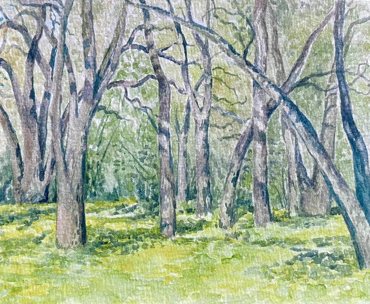 Intro to Painting Landscapes in Watercolor