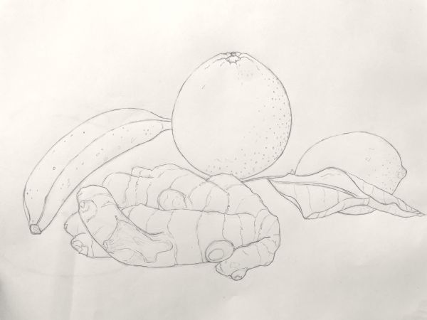 Developing Your Drawing Eye