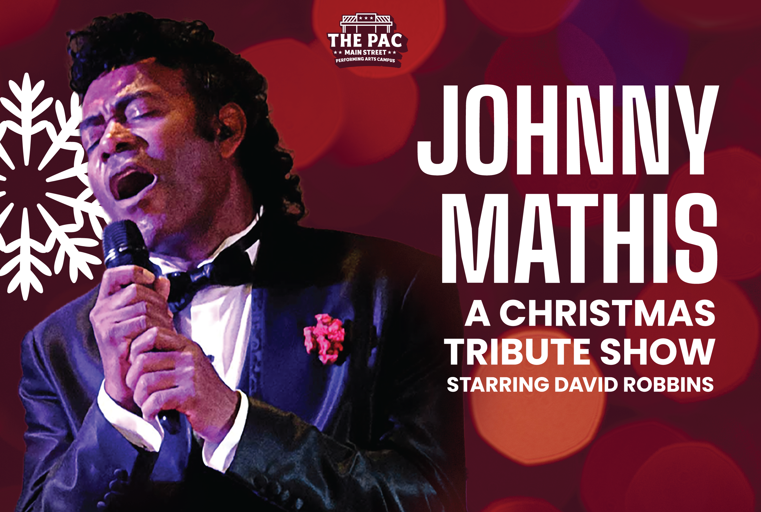 Johnny Mathis - A Christmas Tribute Show