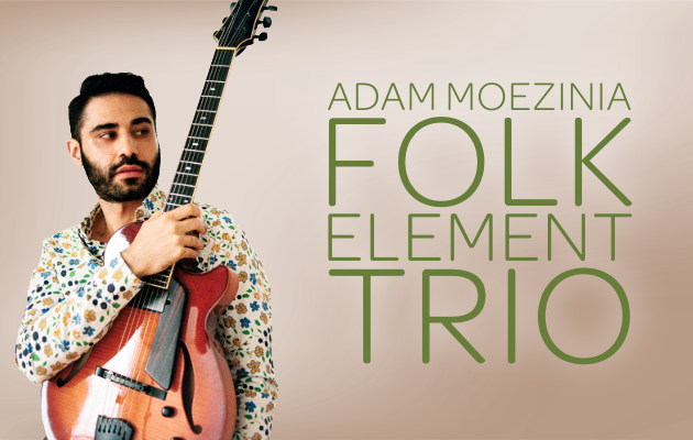 The Adam Moezinia Folk Element Trio (concert)