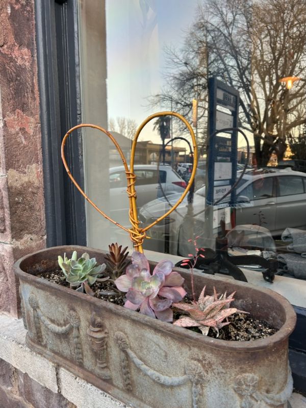 Create Willow Hearts for Sonoma: Free Community Art Event