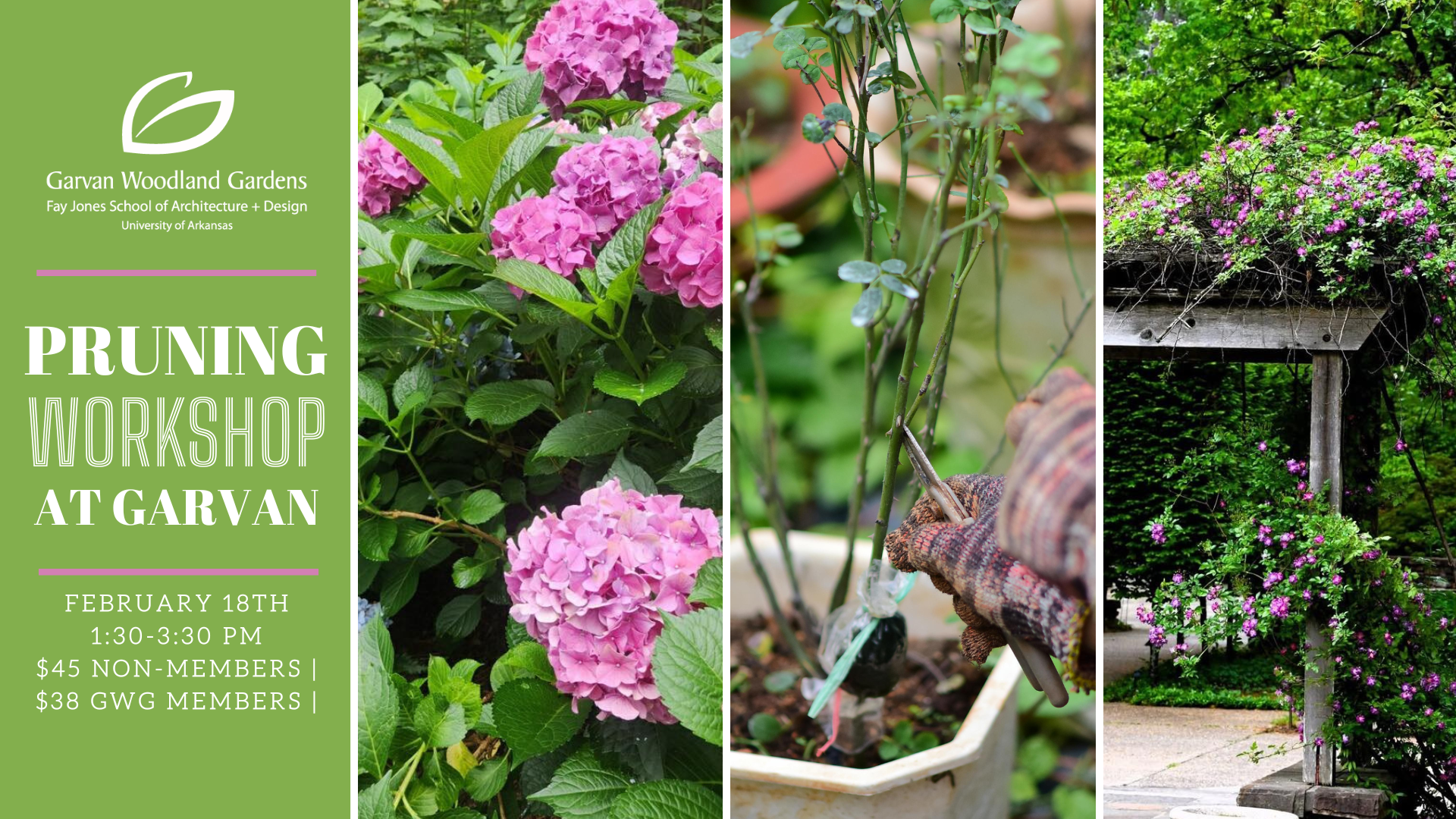 Pruning Workshop with Garden Director Aaron Wright - New Date