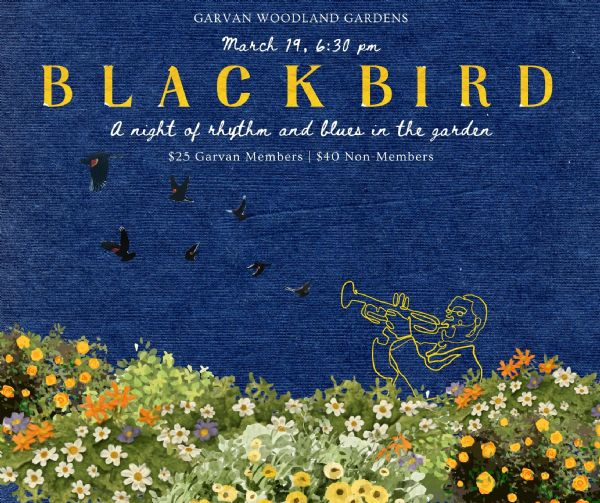 Blackbird: A Night of Rhythm and Blues in Anthony Chapel