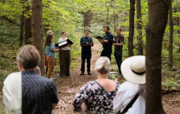 Music in the Woods