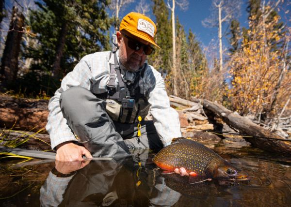 Classroom: Curtis Fry - Thin Air, Fat Fish
