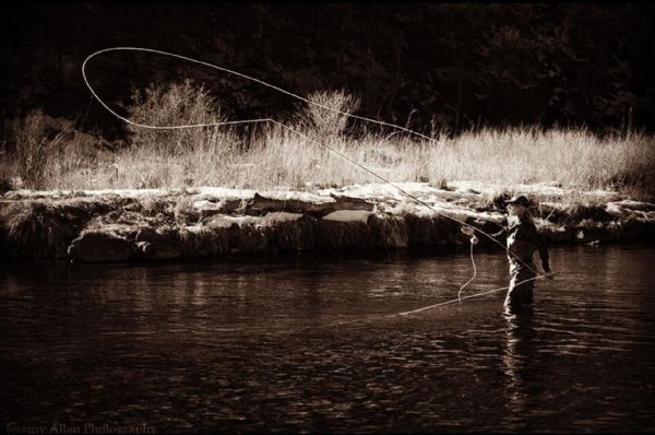 Casting: Audrey Wilson - Beginner Basics & Beyond