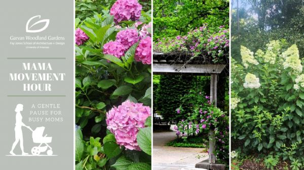 Mama Movement Hour: A Gentle Pause for Busy Moms