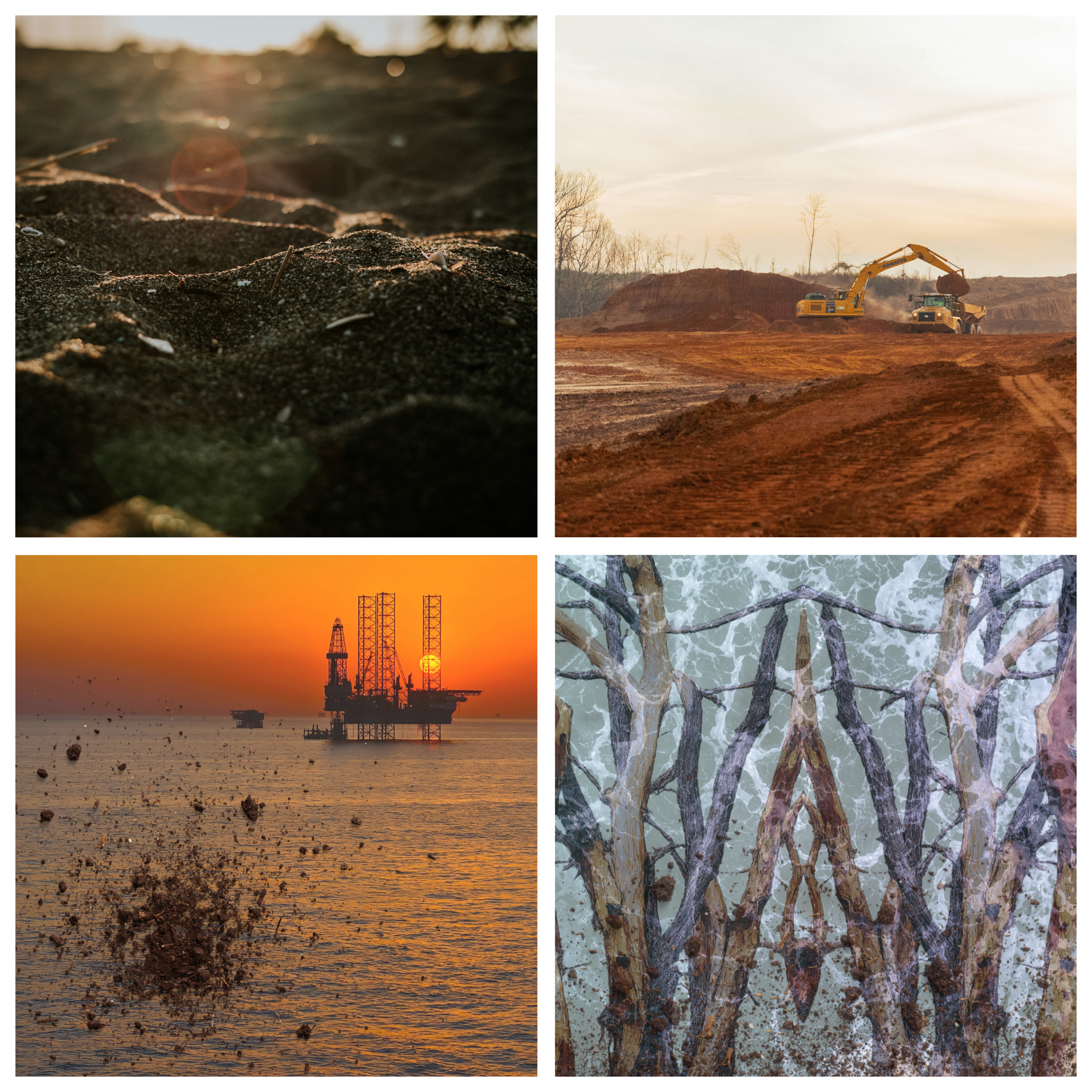 THE CLIMATE COMMISSIONS
