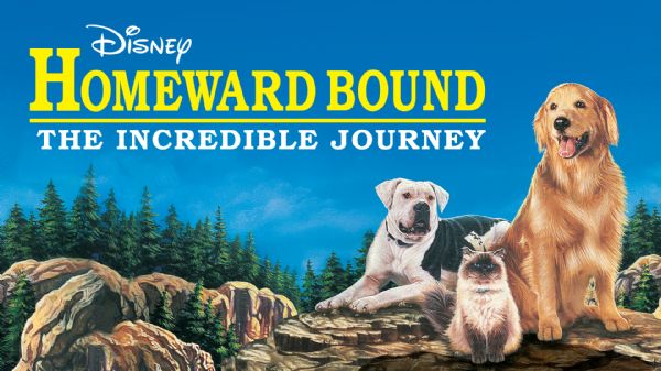 Homeward Bound: The Incredible Journey (1993)