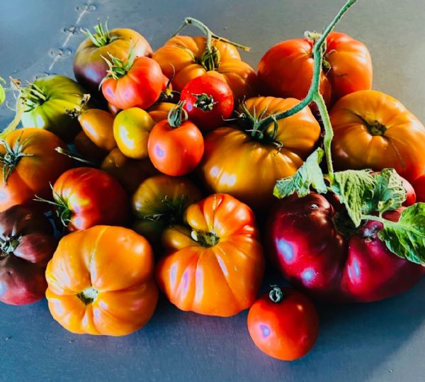 Creative Seasonal Cooking with Erin Shallat