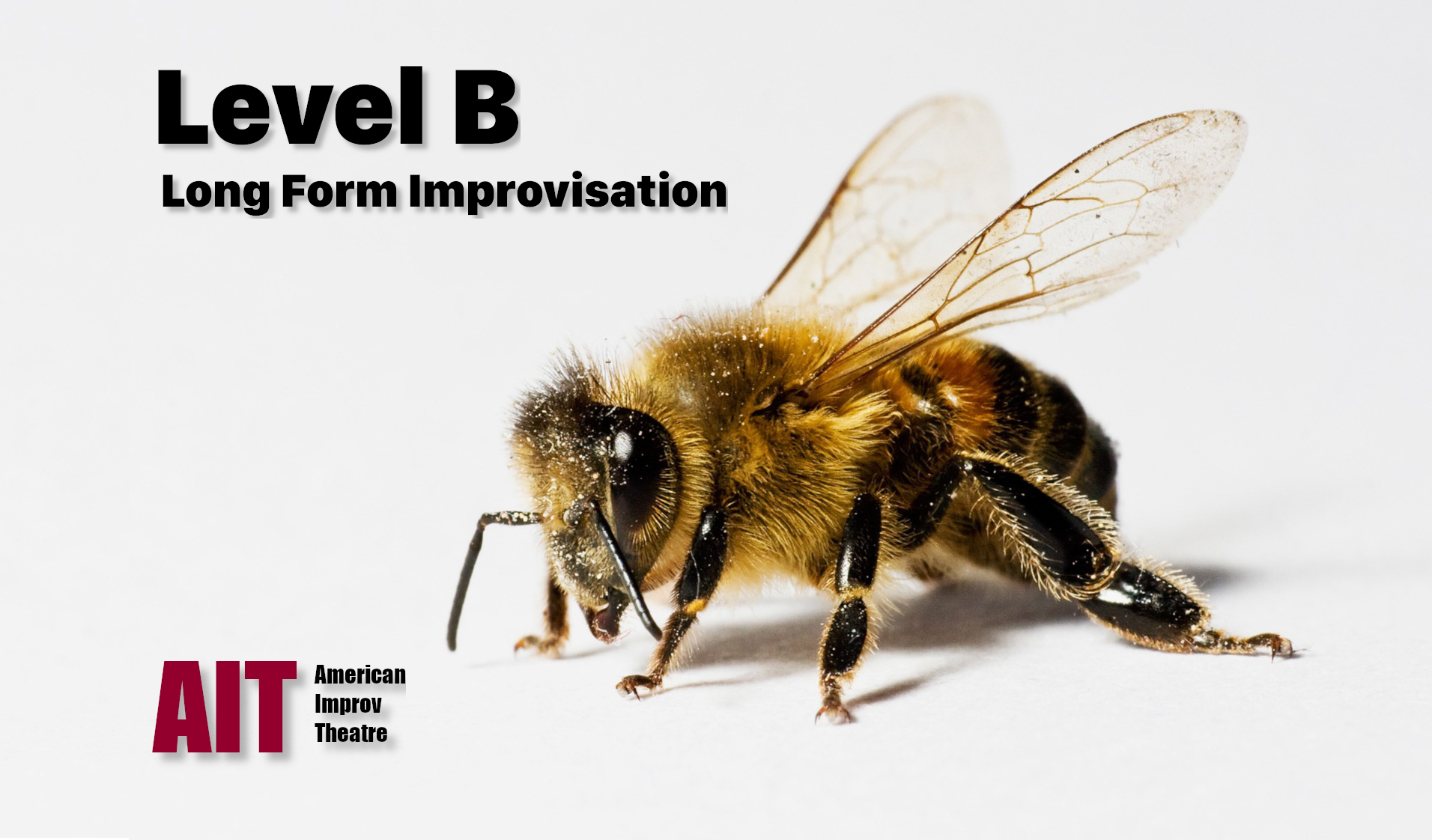 Level B: Long Form Improvisation